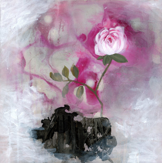 "Sanctuary Bloom" painting of a pink rose with green leaves on a textured white and black background by Amanda Craig.